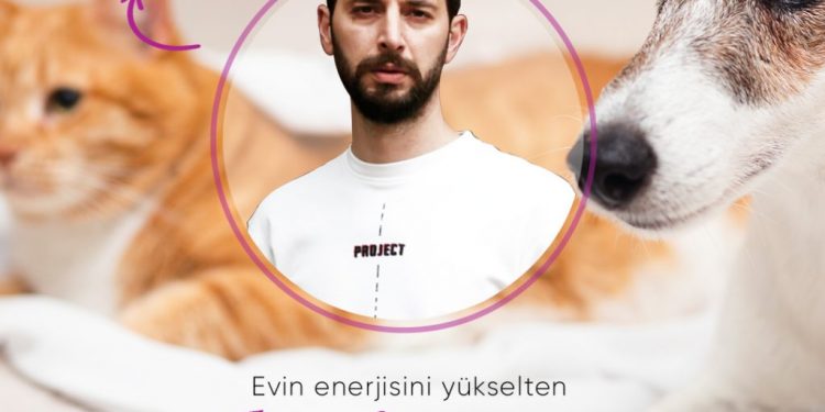 Sahip Evcil Hayvanlarımız Hakkında Bilmemiz Gerekenler