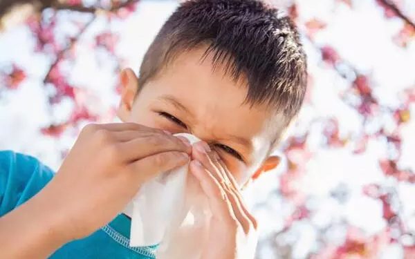 Bebeklerde Alerjik Gıdalar