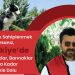 Köpek sahiplenmek istiyorsanız, Türkiye’de sokaklar, barınaklar ağzına kadar köpekle dolu