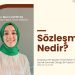 Sözleşme Nedir?