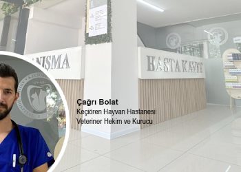 Vet. Hekim Çağrı Bolat’tan Yaşlı ve Yavru Hayvan Bakımının İncelikleri