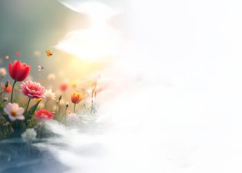 Çiçeklerin Gizemli Dünyası: Her Biri Bir Hikâye Anlatır